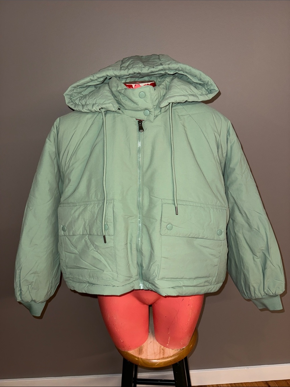 NWT Urban Outfitters Hooded Puffer Jacket